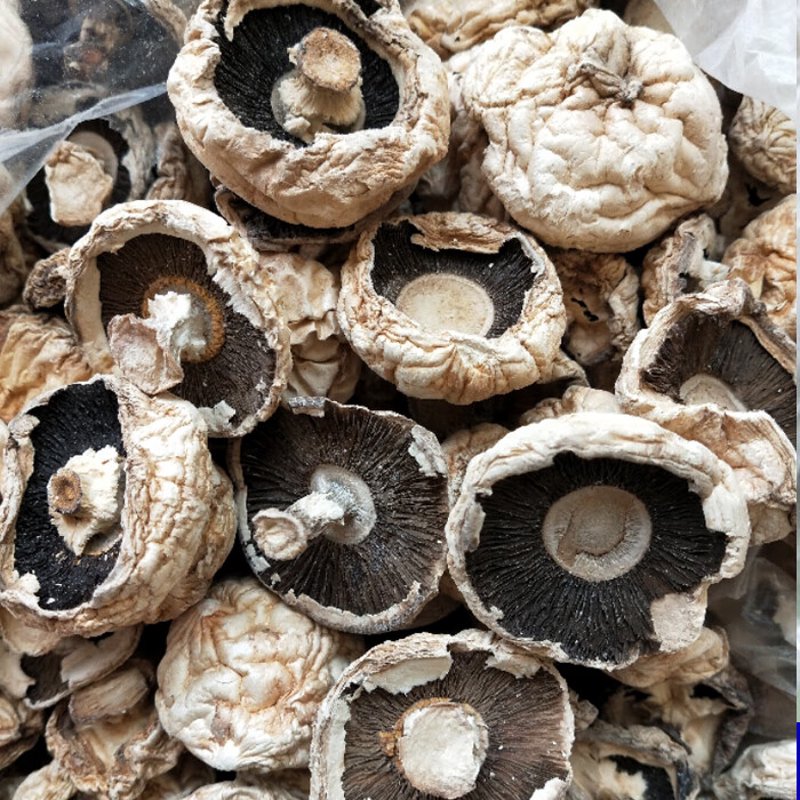 绿顺康贸易：长春市场的新活力