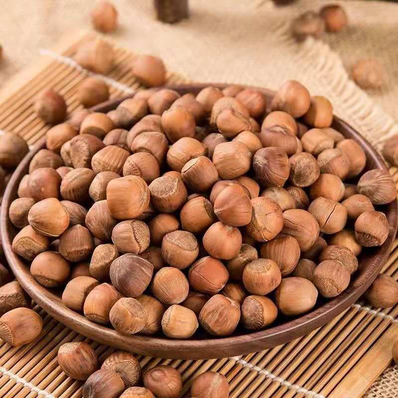 长春绿顺康贸易：健康绿色的未来趋势