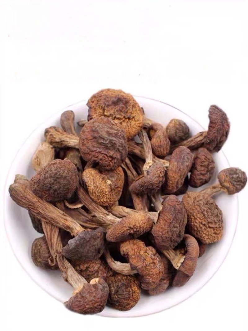 绿色健康生活的新选择——绿顺康贸易的发展动态